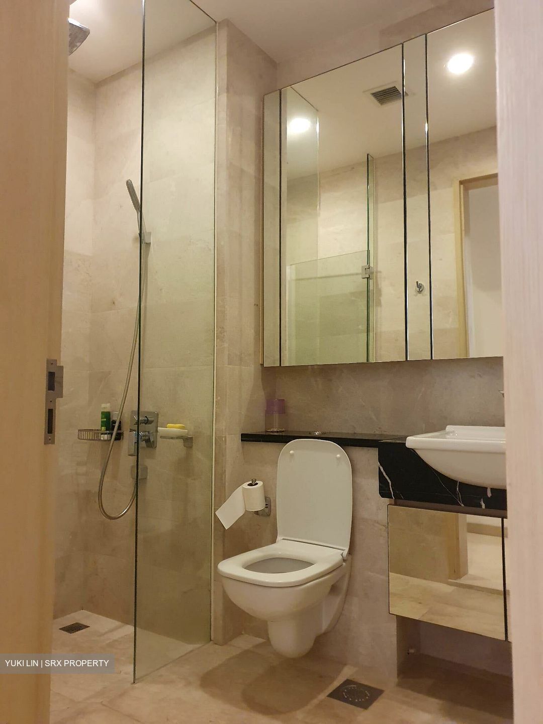 The Boutiq (D9), Apartment #325823801